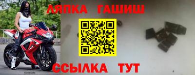 гашик Гусь-Хрустальный
